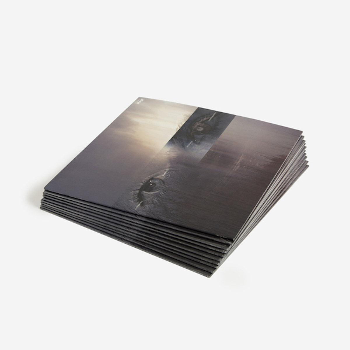 Cover of the vinyl record Caterina Barbieri - Ecstatic Computation, available at Rekorder.cz