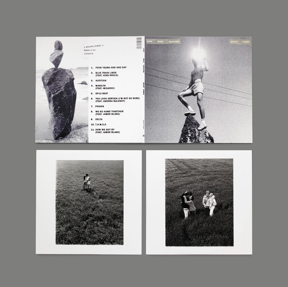 Cover of the vinyl record Mount Kimbie - Love What Survives, available at Rekorder.cz