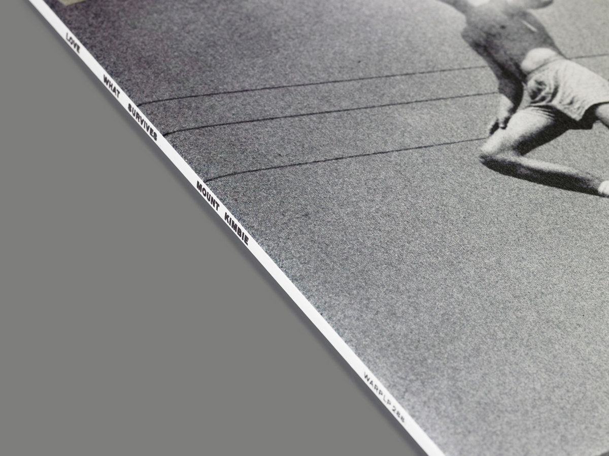 Cover of the vinyl record Mount Kimbie - Love What Survives, available at Rekorder.cz