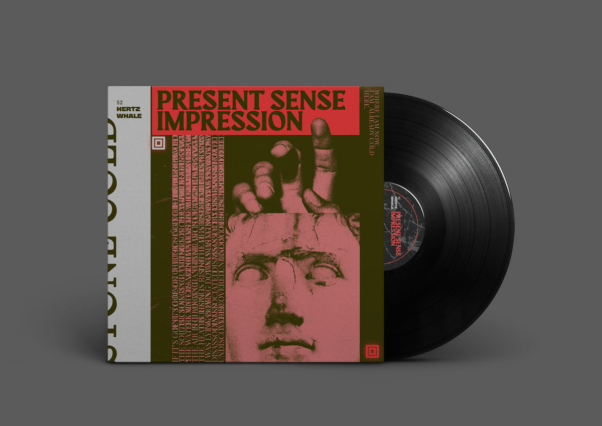 52 Hertz Whale - Present Sense Impression