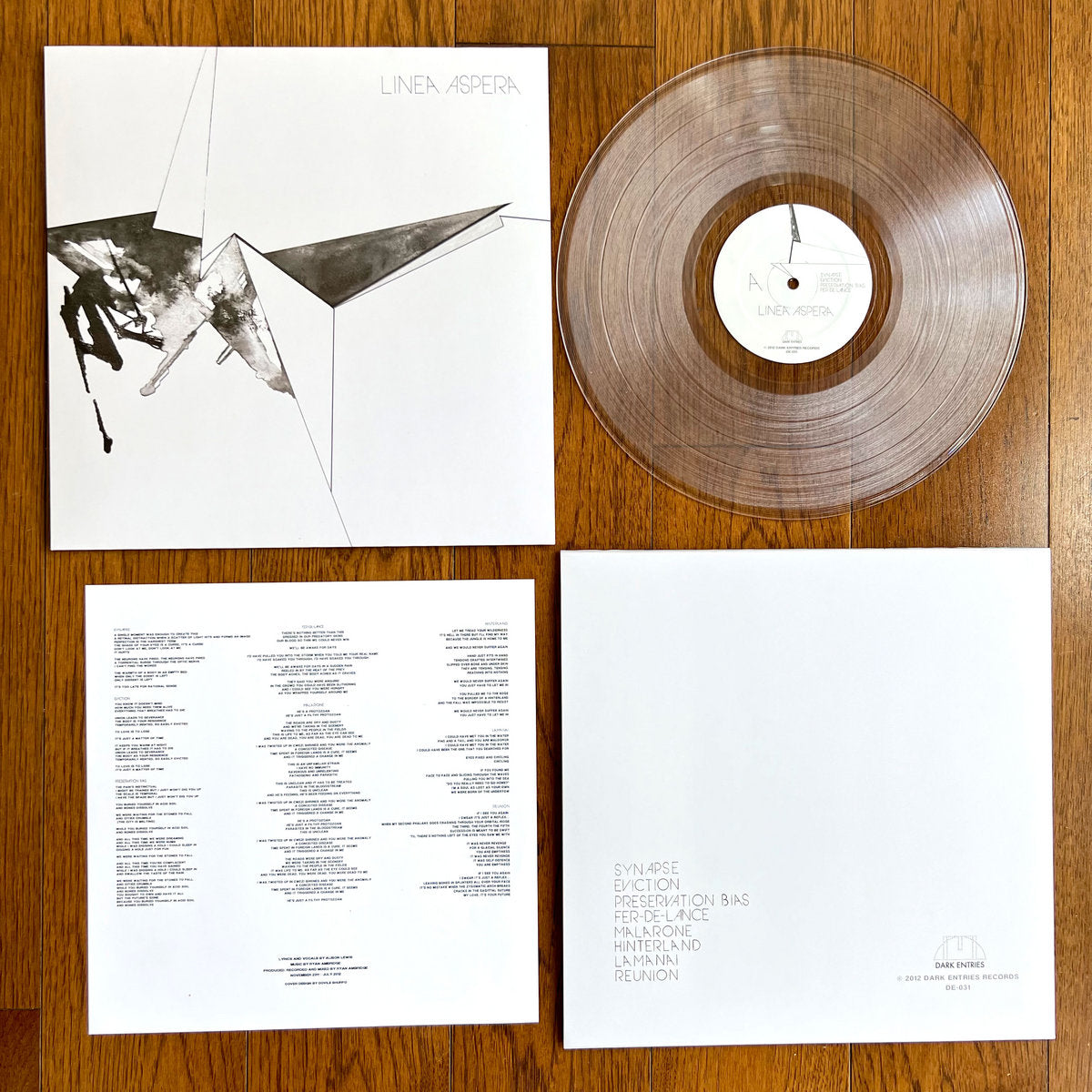 Cover of the vinyl record Linea Aspera - Linea Aspera (10th Anniversary Edition), available at Rekorder.cz