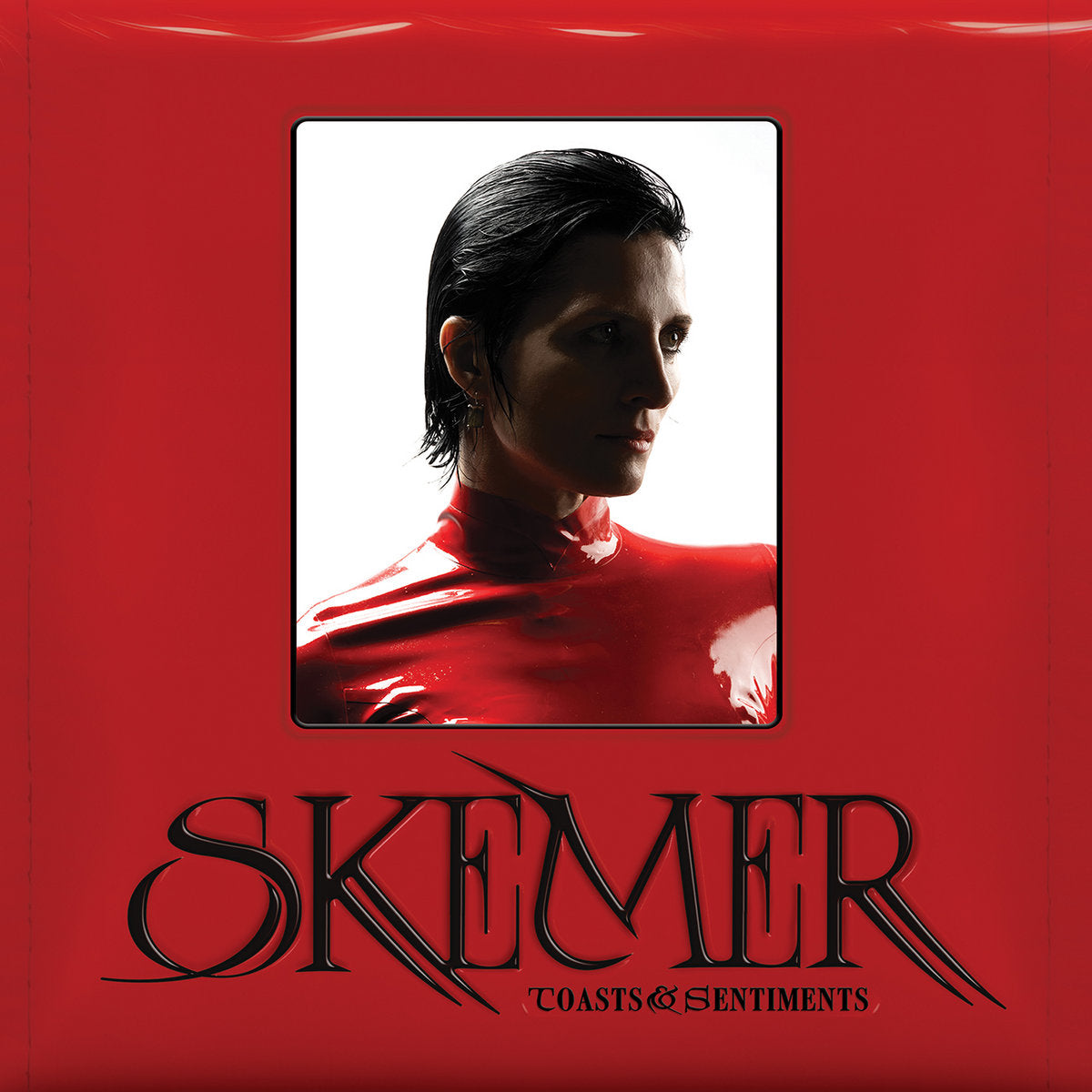 Cover of the vinyl record Skemer - Toasts & Sentiments, available at Rekorder.cz