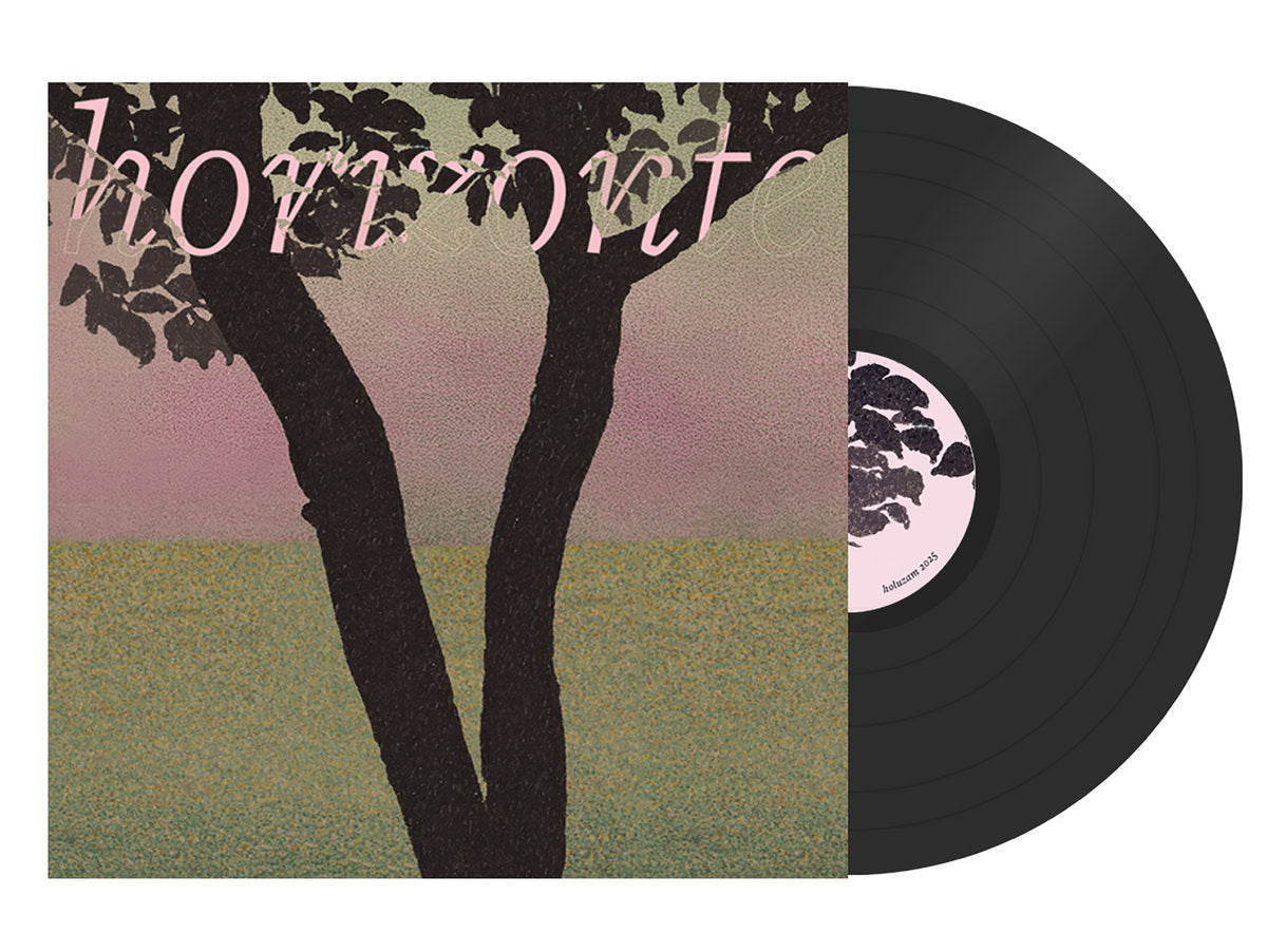 funcionário - horizonte - vinyl record