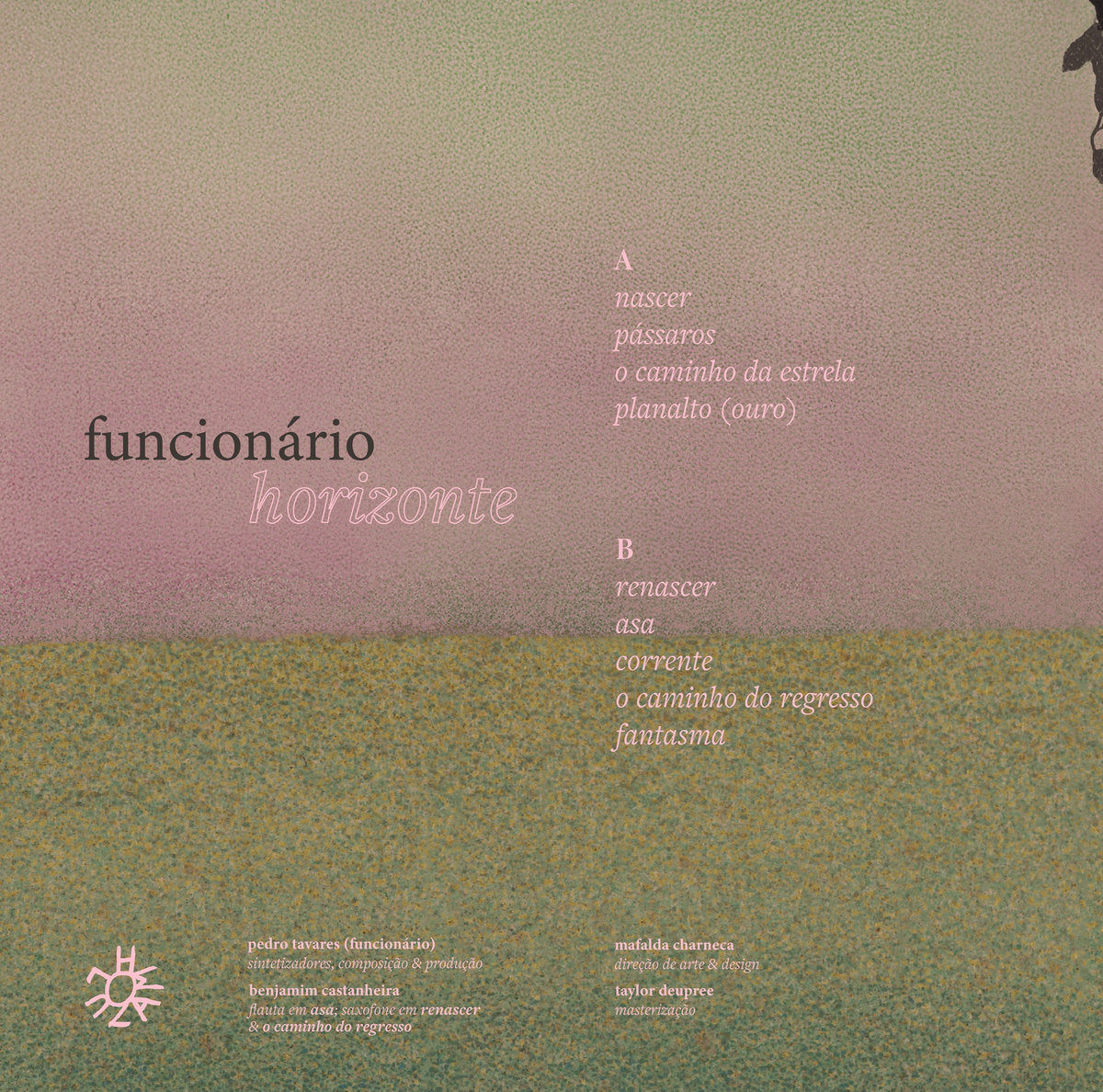 funcionário - horizonte - vinyl record