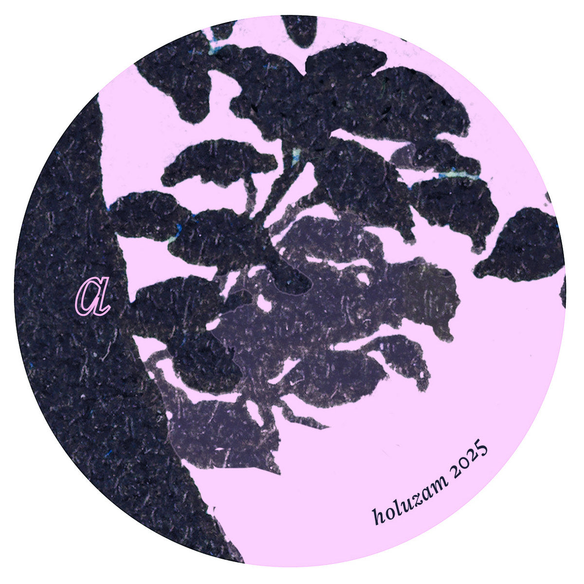 funcionário - horizonte - vinyl record