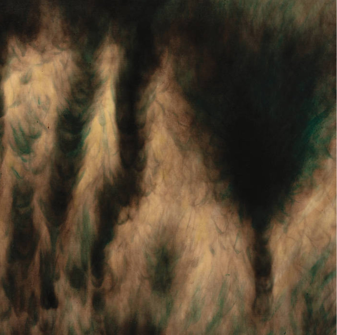 Cover of the vinyl record William Basinski - Lamentations, available at Rekorder.cz