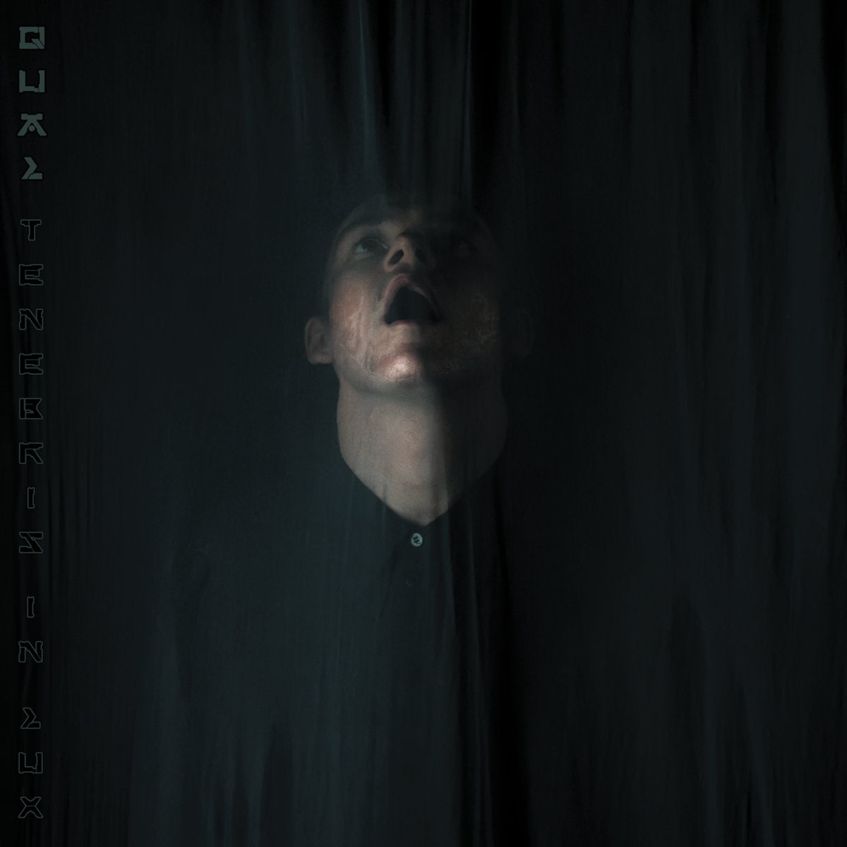 Cover of the vinyl record Qual - Tenebris In Lux, available at Rekorder.cz