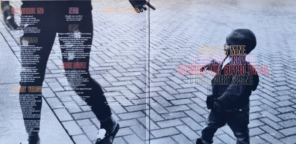 Cover of the vinyl record Deafheaven - Ordinary Corrupt Human Love, available at Rekorder.cz