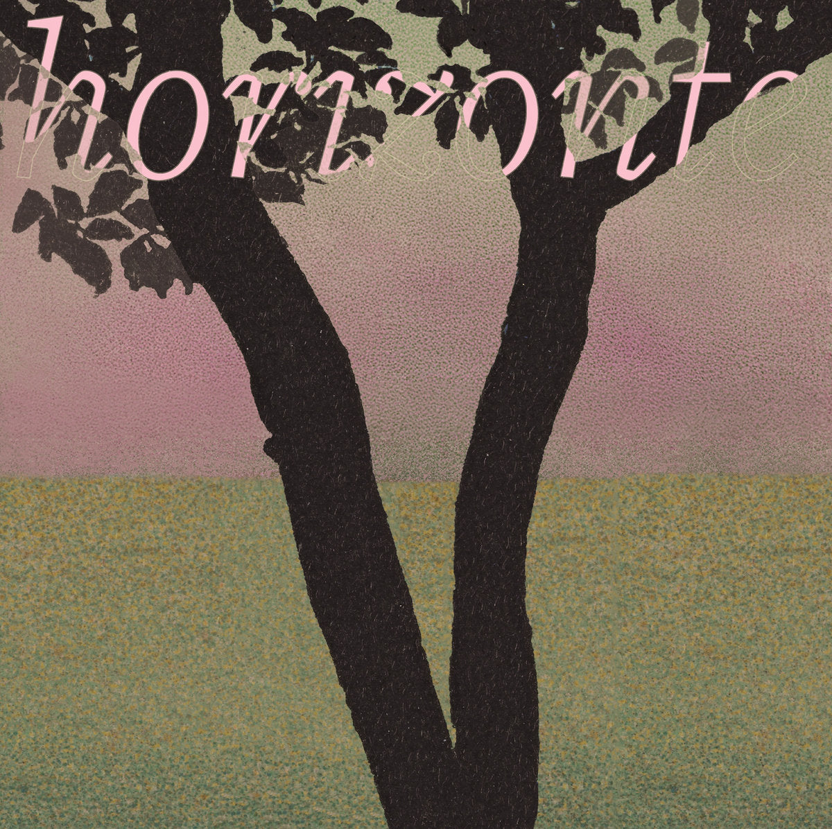 funcionário - horizonte - vinyl record