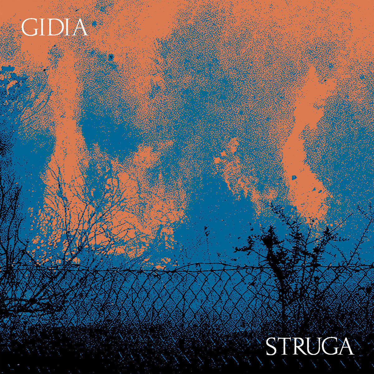 Cover of the vinyl record Gidia - Struga, available at Rekorder.cz