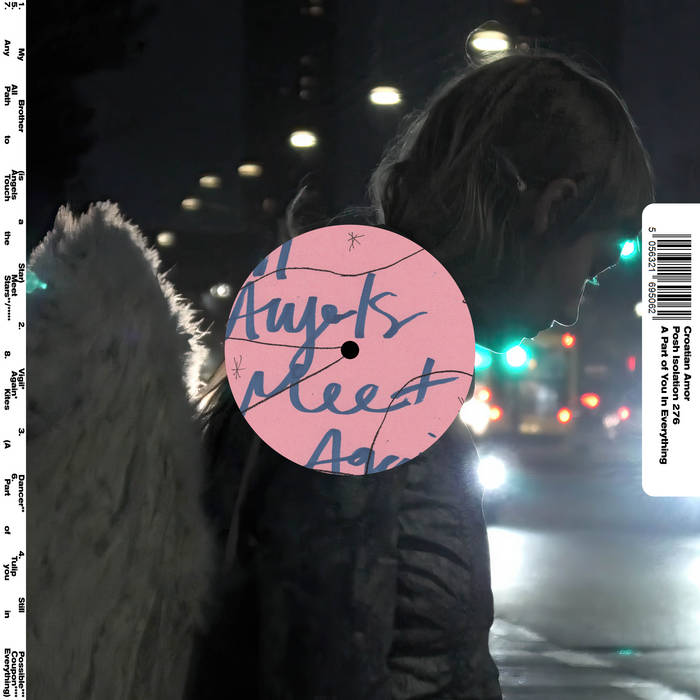 Cover of the vinyl record Croatian Amor - A Part Of You In Everything, available at Rekorder.cz